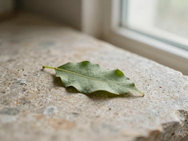 A single green leaf resting on a textured stone surface, soft natural lighting, peaceful and quiet mood