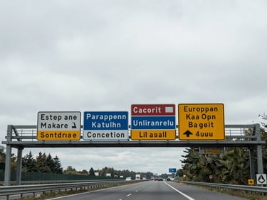 Wide documentary shot of a road sign gantry displaying multiple country destination signs in different languages at a European motorway junction, overcast neutral daylight, no people, environmental scale