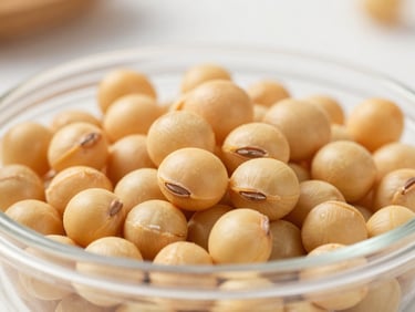 Macro shot of organic yellow soybeans in a clean container, bright natural light