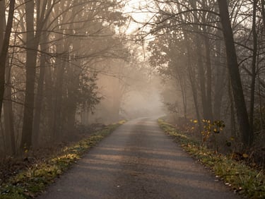 A quiet outdoor path winding through a misty forest at sunrise, soft morning light filtering through trees, serene atmosphere