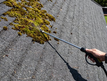 Overhead view of a dark shingle roof, half covered in green moss, half clean, with a technician's hand holding a low-pressure wand, bright midday sunlight.