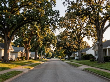 Wide environmental shot of Arden Hills residential streets during golden hour, mature oak trees framing quiet suburban homes