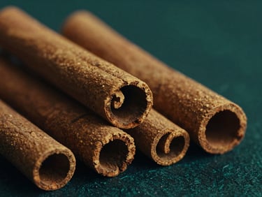 Pristine close-up of curled cinnamon sticks, rich texture, golden hour light, deep emerald and navy tones, cinematic editorial photography.