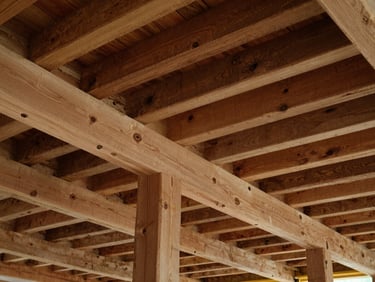 Exposed historical timber beams integrated with modern structural framing, directional daylight, active construction
