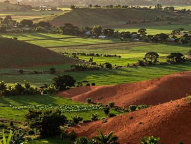 Wide environmental landscape shot of a lush Mozambican agricultural valley at sunrise, rich terracotta and deep green tones