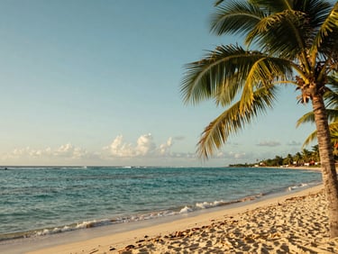 Vibrant landscape of Riviera Maya beach at golden hour, calm turquoise ocean, palm trees framing the right side, warm editorial travel photography