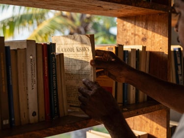 Close-up of hands organizing newly cataloged books on a warm timber shelf, soft tropical golden-hour light filtering through a window.
