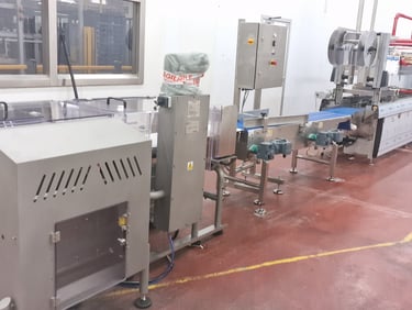 Automatic industrial packaging machine line with conveyor system in a food processing factory facility.