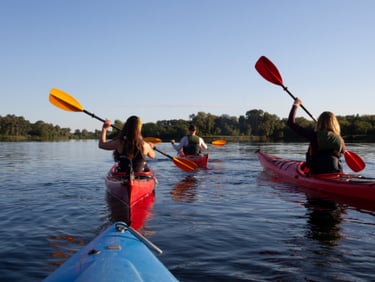 People kayaking on a lake