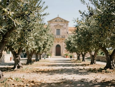 Dappled sunlight under olive trees in Sicily, with a historic stone building in the soft-focus background.