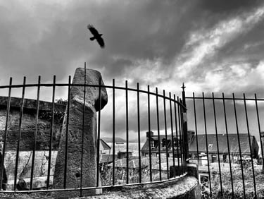 A modern photograph cleverly taken with a bird in flight.