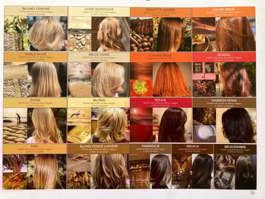 Nuancier de coloration végétale