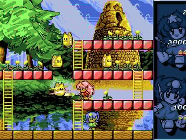Rodland Amiga Style