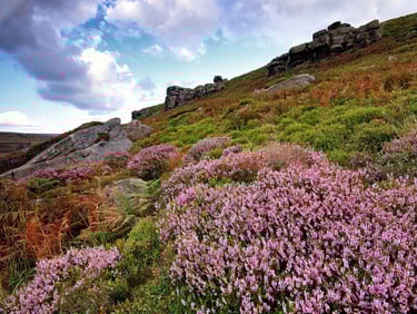 scenic landscape photographs at photo dave