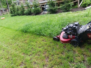 TLC Upstate Lawn Mowing