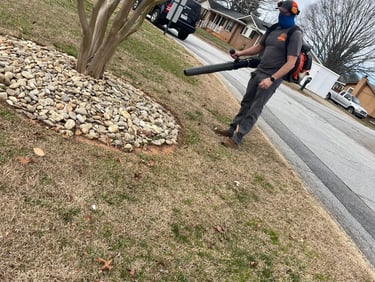 TLC Upstate Leaf Removal