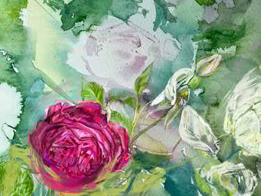 Rosa Munsted Wood - digital drawing over watercolour