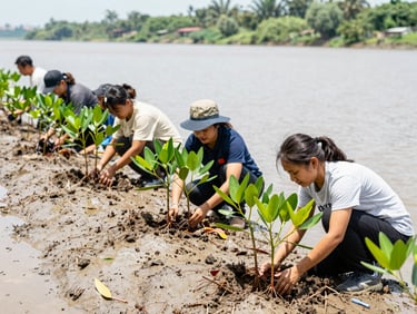 Candid environmental shot of local conservationists planting mangrove saplings along a tidal estuary, natural bright daylight, 35mm.