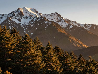 Wide panoramic view of Parque Farellones at golden hour, pine forest in the foreground left, snow-capped Andes rising steeply behind, amber light raking across the slopes, clear sky above