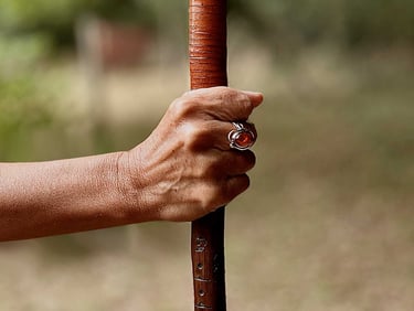Pascal Fromont, créateur de bâtons de marche, L'Homme Vert
