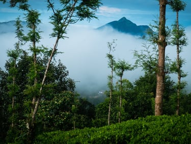 Scenic Hill View during Misty Morning