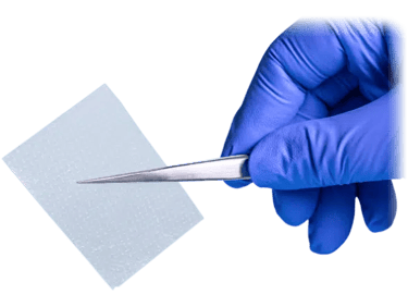 Tweezers holding Restorigin amniotic membrane