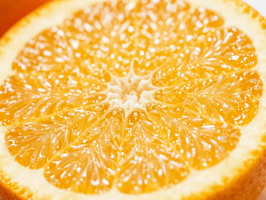 Macro shot of a perfectly sliced navel orange showing glistening juice vesicles and firm pulp, bright natural sunlight, shallow depth of field.