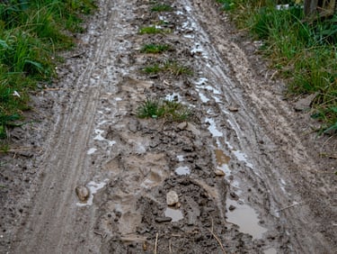 A muddy, uneven driveway with deep puddles and wild grass patches on a grey day.