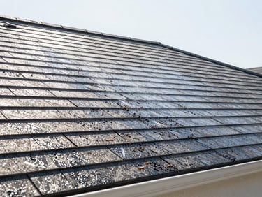 Clean residential roof, soft-wash preservation, no visible organic growth, crisp daylight, professional editorial style.