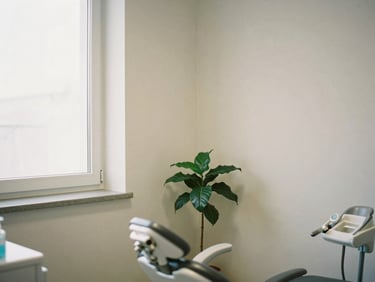 Calm editorial photography of a clean, minimalist dental office with soft diffused natural daylight, a quiet corner with a single green plant, muted earth tones, 35mm lens.