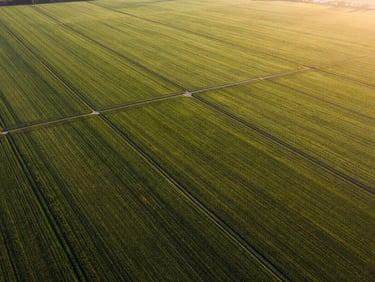 Sweeping drone shot of expansive, lush green agricultural land parcels with clear boundary lines, warm morning sun.