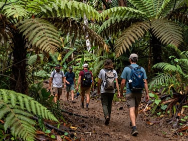 Travelers walking on a muddy path surrounded by giant ferns in the Colombian jungle, documentary style