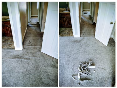 Carpet Re-Stretching Utah County  Carpet stretched tight