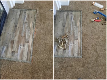 Cat carpet damage was fixed to look new in this shaggy carpet located in Santiquin, UT