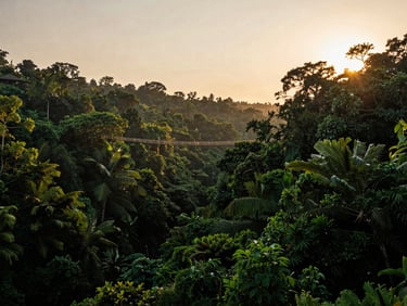 Wide landscape — Kerala forest canopy at dusk, dense green foliage backlit by last golden light, a single rope bridge visible in the middle distance crossing a narrow ravine, atmospheric and still, no people