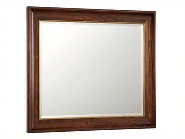 Elegant custom-framed mirror reflecting a high-end Dallas interior, subtle gold accents on the frame, bright diffused light.