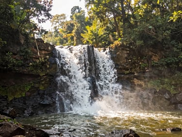 A powerful waterfall cascading over dark rocks into a pool, surrounded by lush green forest in Ranchi, bright daylight, editorial travel photo