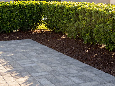 After: Pristine backyard featuring a newly installed gray paver patio, fresh dark mulch beds, and neatly trimmed hedges under warm afternoon sunlight, 35mm