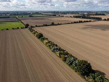 Expansive wide-angle drone shot of structured arable fields integrated with wild conservation margins, overcast natural daylight, Oxfordshire landscape.