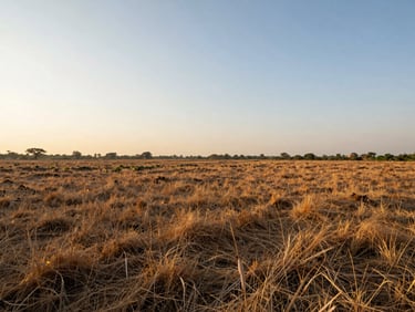 Wide-angle landscape photography of a sun-drenched investment plot in Vrindavan, clear horizon line, natural dry vegetation, warm golden hour lighting.