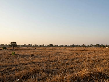 Wide environmental landscape of an open investment plot in Vrindavan, clear horizon line, natural vegetation, warm golden hour light.