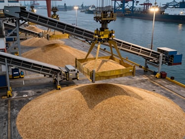 Overhead documentary shot of grain cargo being loaded at a port dock, conveyor belt and bulk pile in frame, industrial overhead lighting, tight operational framing with dock equipment visible