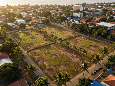 Aerial view of prime coastal land in Cotonou, Benin, clean geometric plots, palm trees, bright natural sunlight