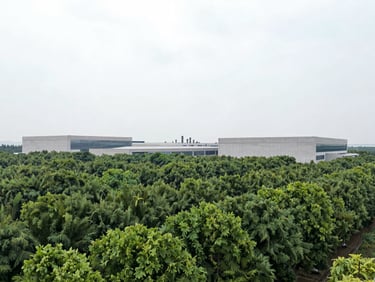 Wide-angle shot of an industrial park surrounded by a dense, structured forest green belt under a bright overcast sky, concrete structures in background