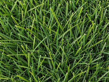 Macro close-up of premium artificial grass blades, dense and uniform pile height, shot in controlled studio daylight revealing individual blade texture and green-on-green depth, no people, flat lay overhead angle