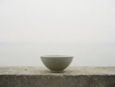 A simple ceramic bowl sitting on a concrete ledge, soft overcast daylight, minimalist film photography, muted earthy tones, quiet contemplative mood, 35mm