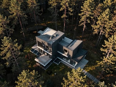 Top-down aerial view of a modern Nordic villa surrounded by dark pine forest, sharp geometric lines, morning light