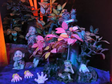 duendes-after-eddyscap