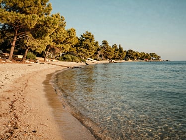 A quiet, secluded pine-fringed beach near Antalya with crystal clear water, warm Mediterranean daylight, warm editorial photography, 35mm