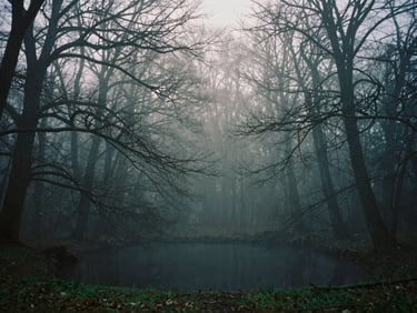 Atmospheric fog rising from a dark forest pool at first light, bare oak trees.